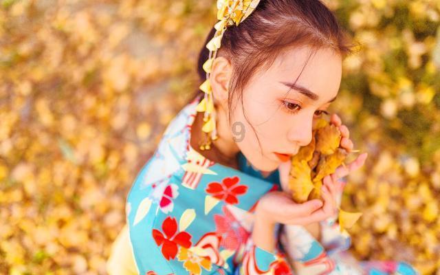 小猫钓鱼开船版最新版下载